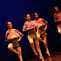 Festival de danza Coppelia