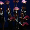 Festival de danza Coppelia