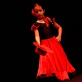 Festival de danza Coppelia