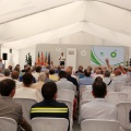 50 aniversario BP Castellón