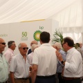 50 aniversario BP Castellón