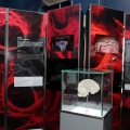 Exposición Ilusionismo