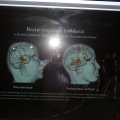 Exposición Ilusionismo