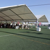 Castellón, Festival de Yoga 2017