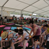 Castellón, Festival de Yoga 2017