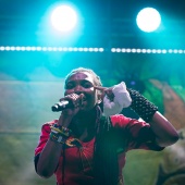 Rototom Sunsplash