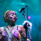 Rototom Sunsplash