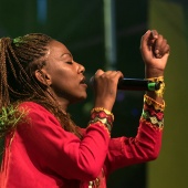 Rototom Sunsplash