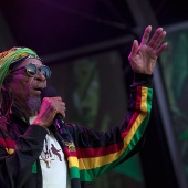 Rototom Sunsplash