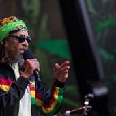 Rototom Sunsplash