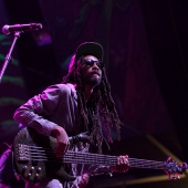 Rototom Sunsplash