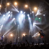 Rototom Sunsplash