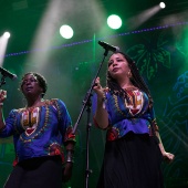 Rototom Sunsplash