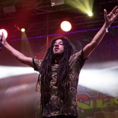 Rototom Sunsplash