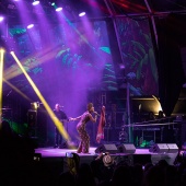 Rototom Sunsplash