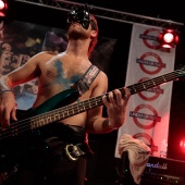 Festival Undergrau