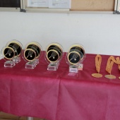 Circuito provincial de tenis de Catellón-Trofeo Hyundai