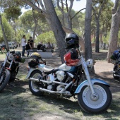 Concentración Harley-Davidson Big Twin