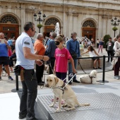 Exhibición de Perros Guía