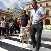 Exhibición de Perros Guía