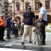 Exhibición de Perros Guía