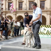 Exhibición de Perros Guía