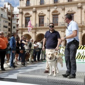 Exhibición de Perros Guía