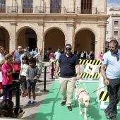 Exhibición de Perros Guía