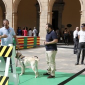 Exhibición de Perros Guía