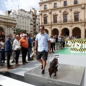 Exhibición de Perros Guía