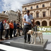 Exhibición de Perros Guía