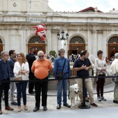 Exhibición de Perros Guía