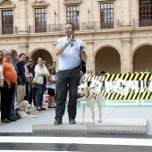 Exhibición de Perros Guía