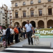 Exhibición de Perros Guía