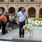 Exhibición de Perros Guía