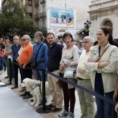 Exhibición de Perros Guía