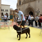 Exhibición de Perros Guía