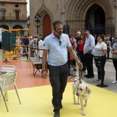 Exhibición de Perros Guía