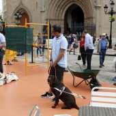 Exhibición de Perros Guía