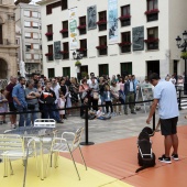 Exhibición de Perros Guía