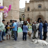 Exhibición de Perros Guía