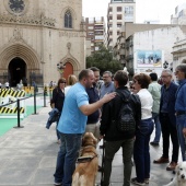 Exhibición de Perros Guía