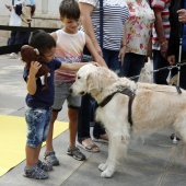 Exhibición de Perros Guía