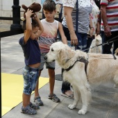 Exhibición de Perros Guía