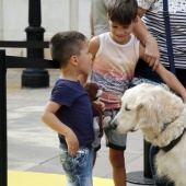 Exhibición de Perros Guía