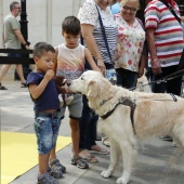 Exhibición de Perros Guía