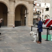 Exhibición de Perros Guía