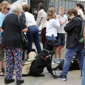 Exhibición de Perros Guía