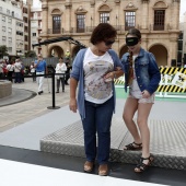 Exhibición de Perros Guía