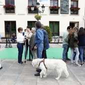 Exhibición de Perros Guía